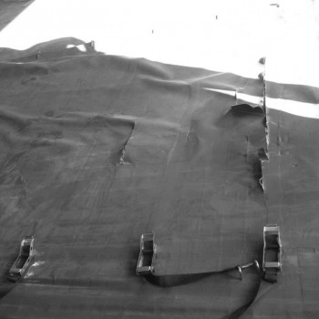 Tautliner Elephant Damaged